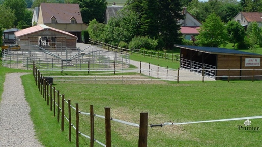 Equestrian center for sale on 7,200 m² of land