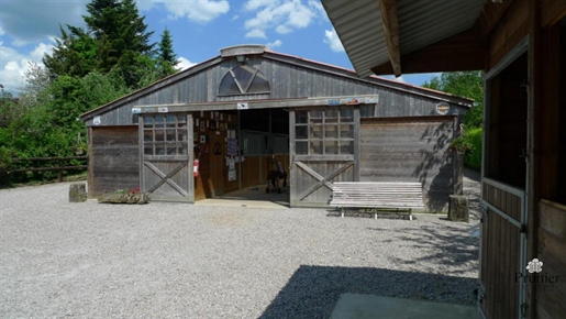Equestrian center for sale on 7,200 m² of land
