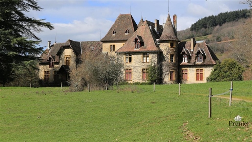 Te renoveren kasteel te koop op 140 ha met boerderijen en bijgebouwen, waarvan een deel wordt verhu