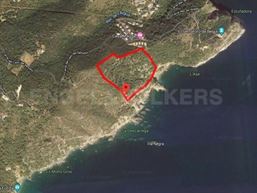 Exceptional 6.2 Ha plot on a cliff with direct access to the sea in Begur