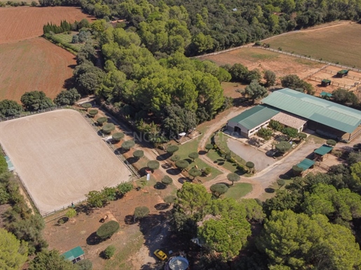 Your equestrian haven in Empordà