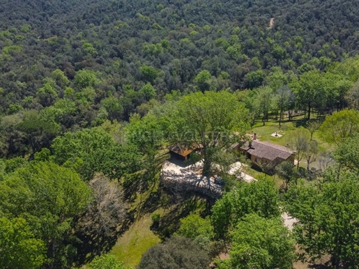 Ranch américain avec 12 hectares de forêt