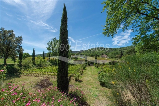 La Garde Freinet: Authentisches Anwesen auf 5 hektar grund im Weingebiet