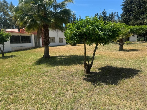 Grundstück in San Pedro de Alcantara, Costa del Sol