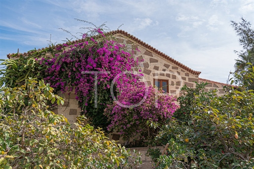 Mooi Canarisch huis met grote tuin en uitzicht op zee in Aldea Blanca