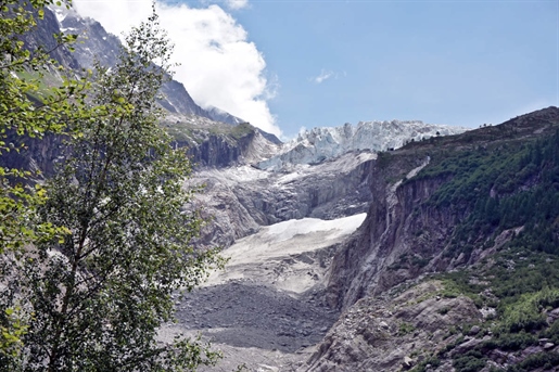 Chamonix Argentiere - Beautiful 3 room apartment