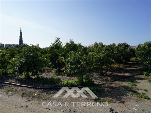 Verkauf, bewässertes Land, Algarrobo, Malaga, Andalusien