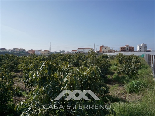 Verkoop, land, Algarrobo, Malaga, Andalusië