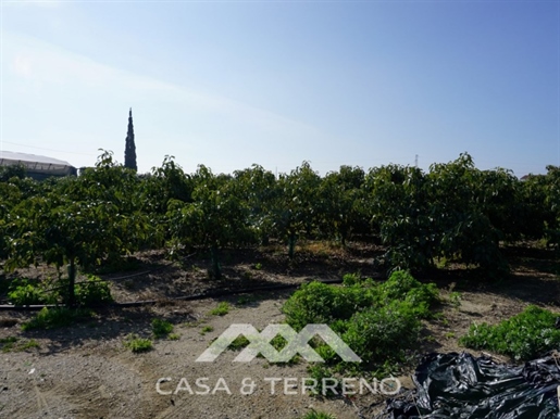 Verkauf, bewässertes Land, Algarrobo, Malaga, Andalusien