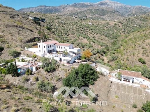 For sale: Stunning rural country retreat, Canillas de Aceituno, Andalusia