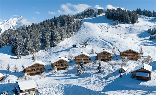Rare chance to own a ski in and out 6 bedroom chalet situated on the piste in Manigod