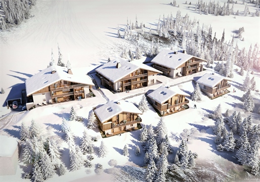 Amazing off plan 2 double bedroom apartments for sale in Praz sur Arly (A)