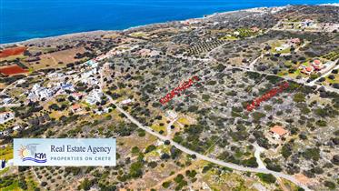 Lasithi Sissi. For sale a bright plot of 5151 sq m with a panoramic view of the sea.