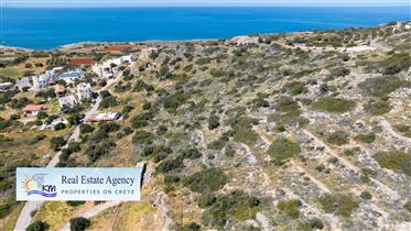 Lasithi Sissi. For sale a bright plot of 5151 sq m with a panoramic view of the sea.