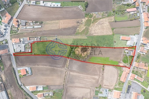 Investimento | Terreno com + 10 000 m2 em Lavra