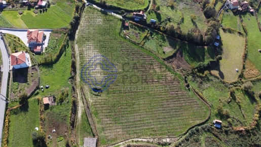 Ferme agricole - Gove - Baião