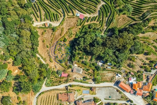 Terreno de 5750m² com construção existente e Projeto de Remodelação