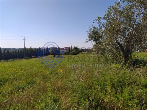 קרקע עם 13,700m2 5 דקות מהעיר טומר