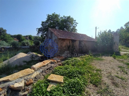 Ruína de moinho de azenha, terreno e ribeiro entre Tomar e Ferreira do Zêzere no centro de Portugal