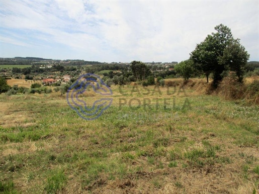 Advert picture