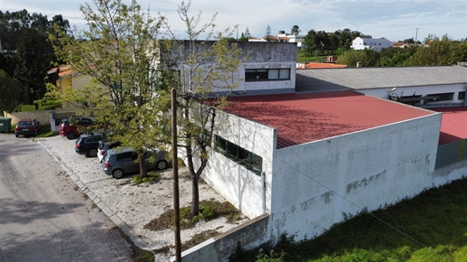 Warehouse T4 Sell in Benedita,Alcobaça