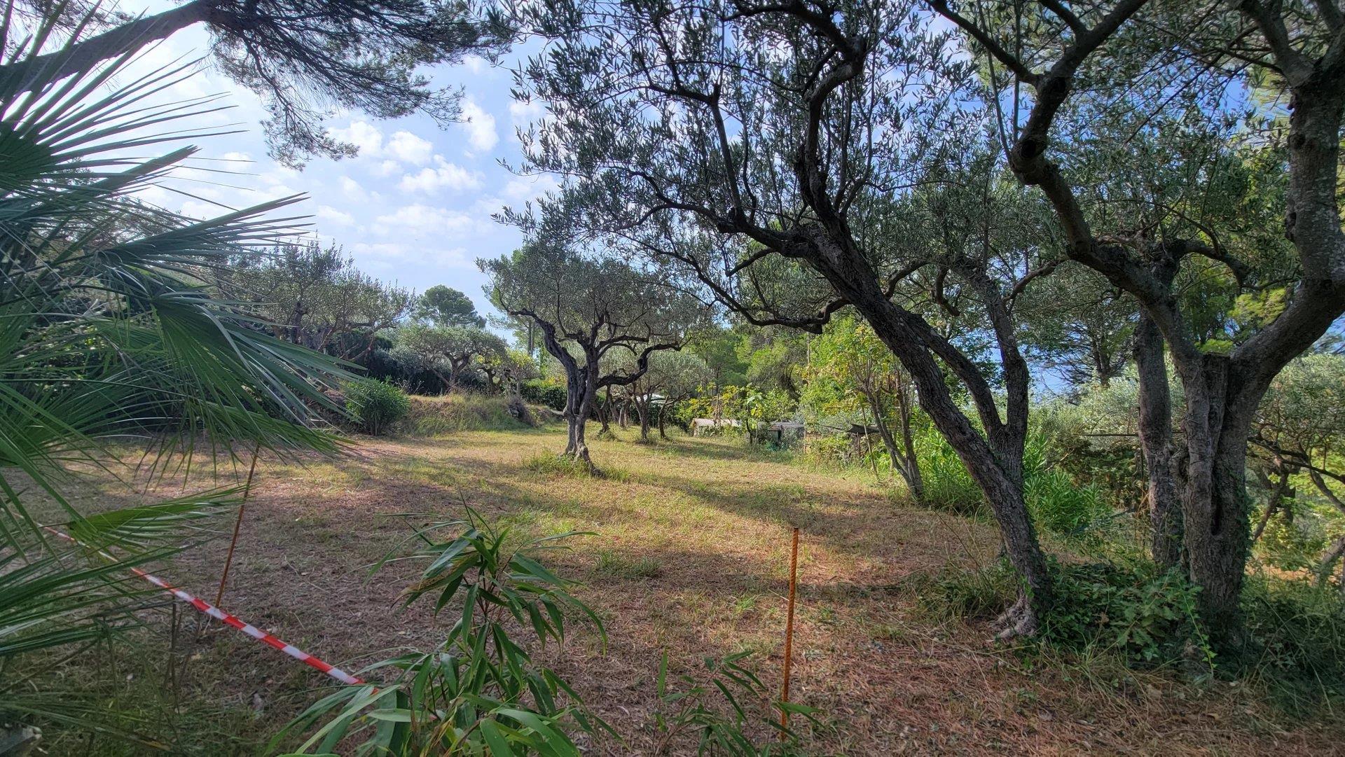 Salernes Building Plot Of 1679 m²