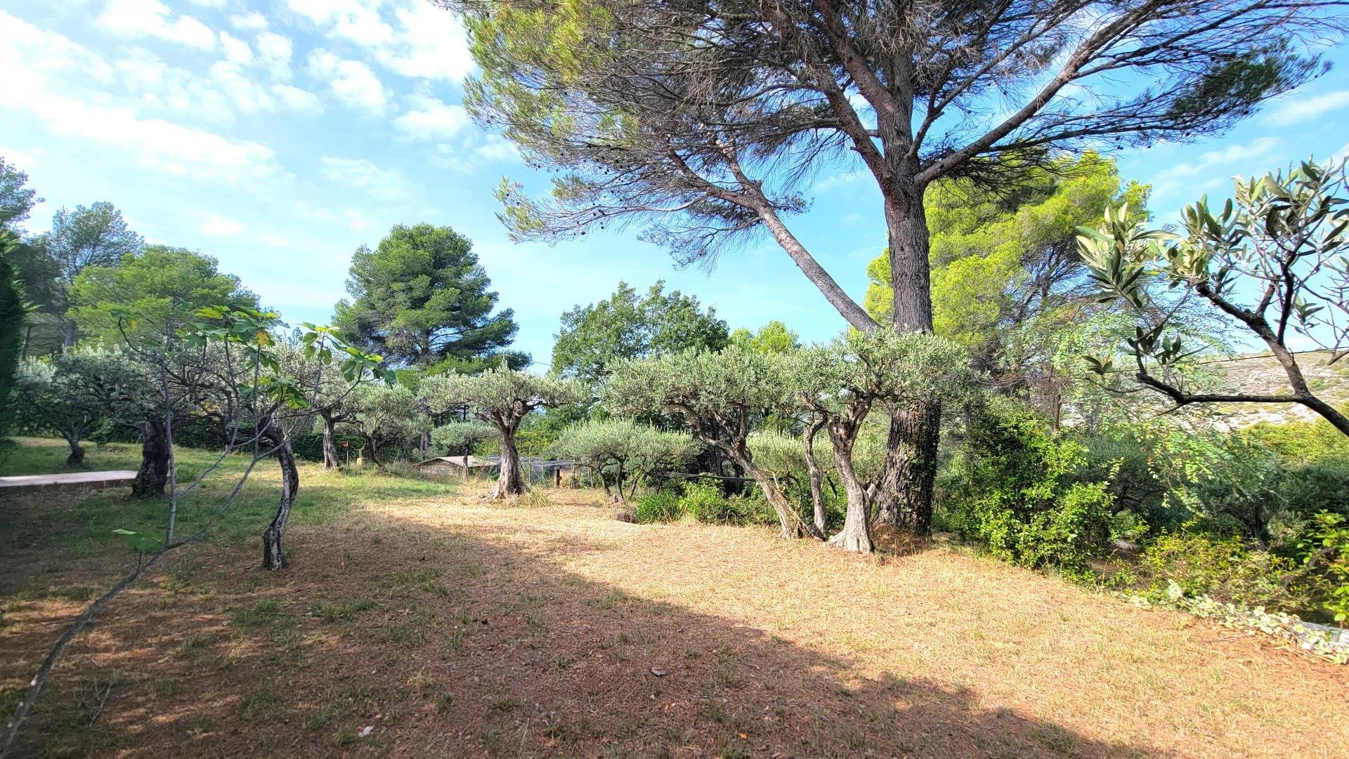 Salernes Building Plot Of 1679 m²