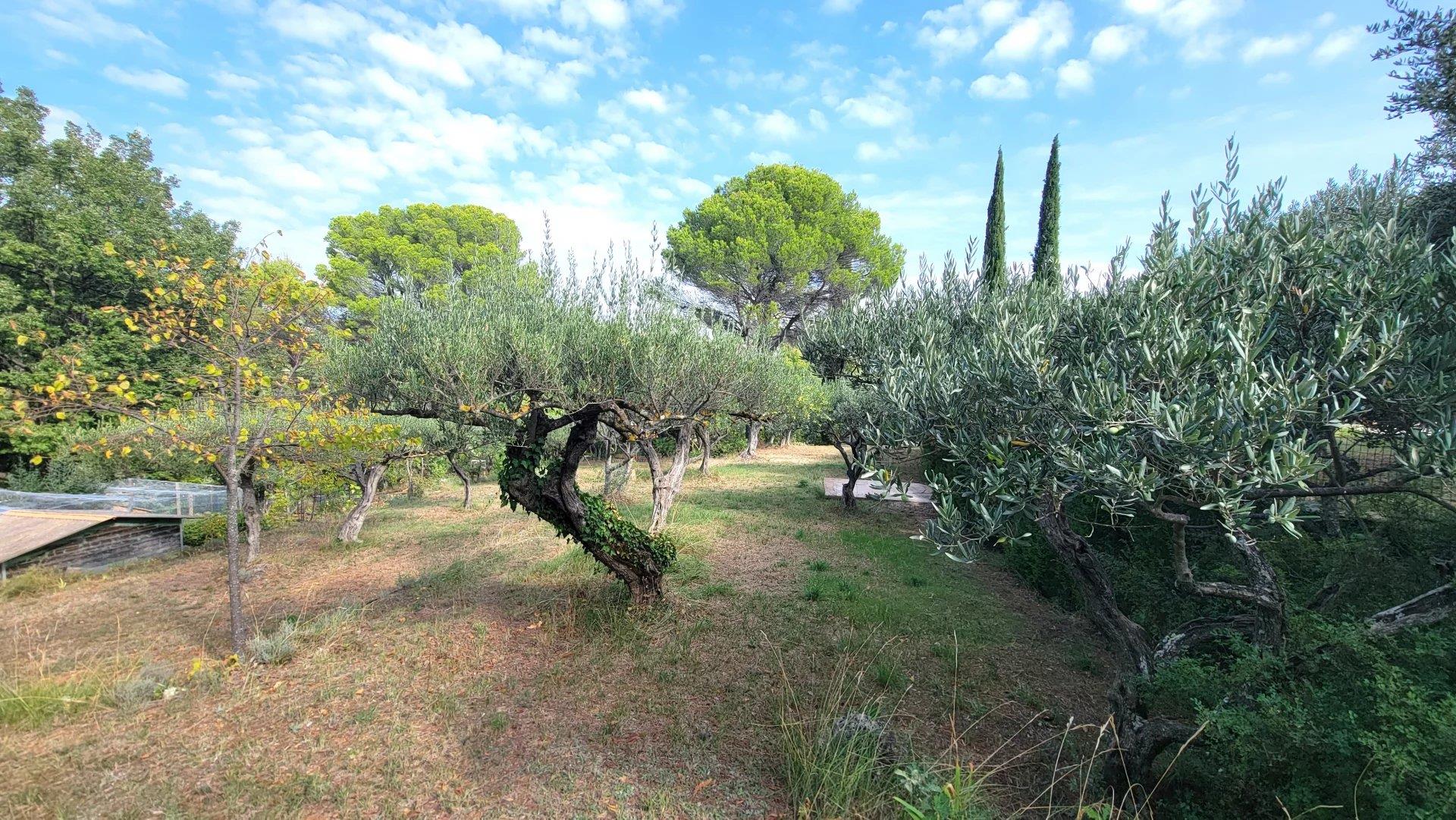 Salernes Building Plot Of 1679 m²