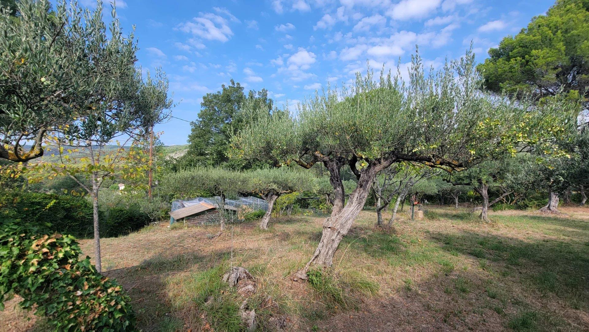 Salernes Building Plot Of 1679 m²