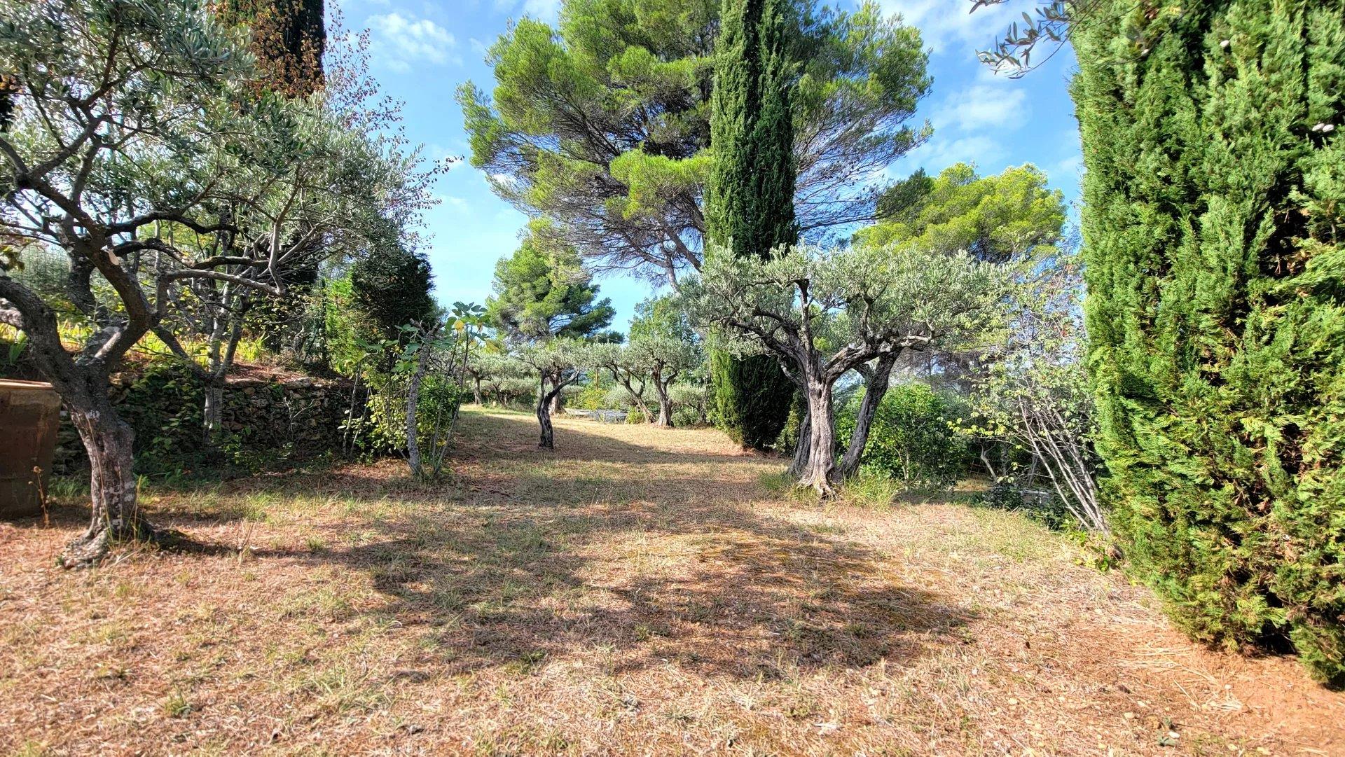 Salernes Building Plot Of 1679 m²