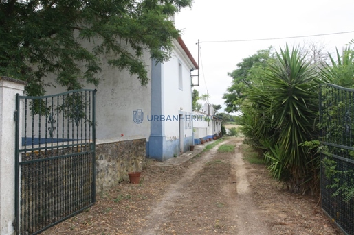 Landbesitz 4 Schlafzimmer Verkaufen in Estremoz (Santa Maria e Santo André),Estremoz