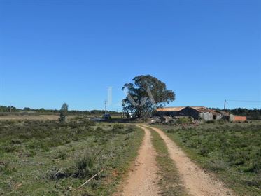Farm with 16 hectares near the beach of Odeceixe