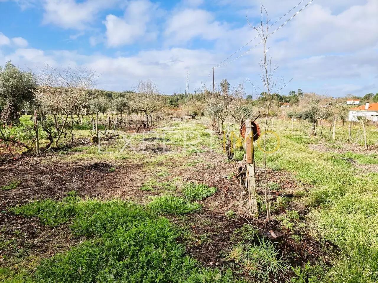 Farm in the vicinity of Vila de Tábua