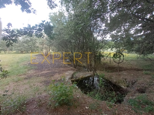 Quinta Serra Da Estrela, 1 hectárea de terreno con casa para recuperar