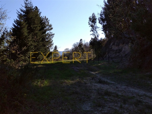 Ferme Serra Da Estrela, terrain à potentiel de construction