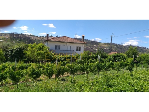 Quinta com Casa de Habitação e Terreno Amplo em Localização Rural