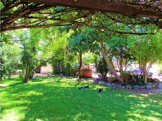 10 Bedroom Farm House- Vila Nova-da-Barquinha-Santarém