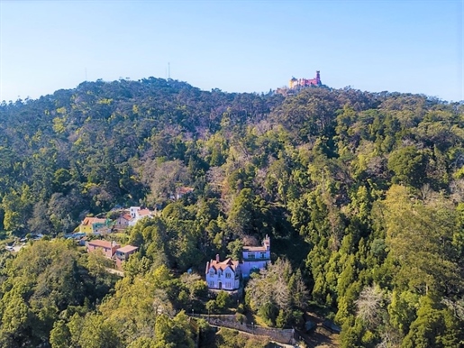 Emblematic century-old farmhouse with garden in Sintra