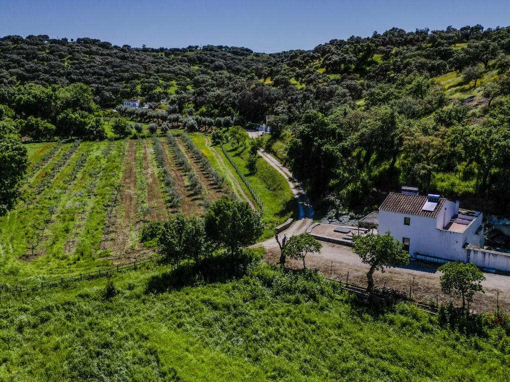 In Vila Viçosa a tourist farm of 23ha