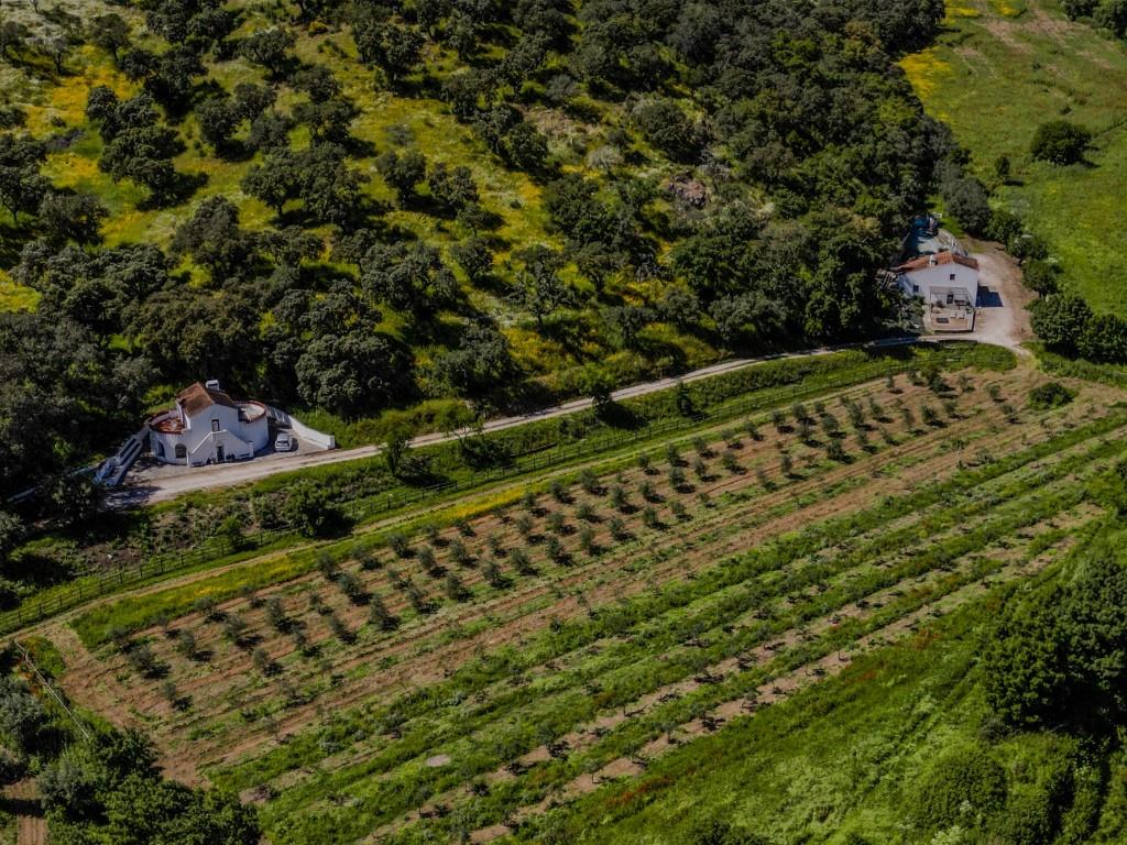 In Vila Viçosa a tourist farm of 23ha