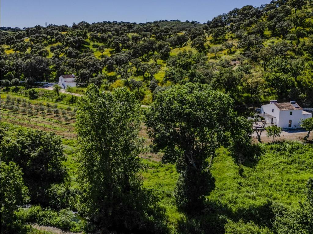 In Vila Viçosa a tourist farm of 23ha