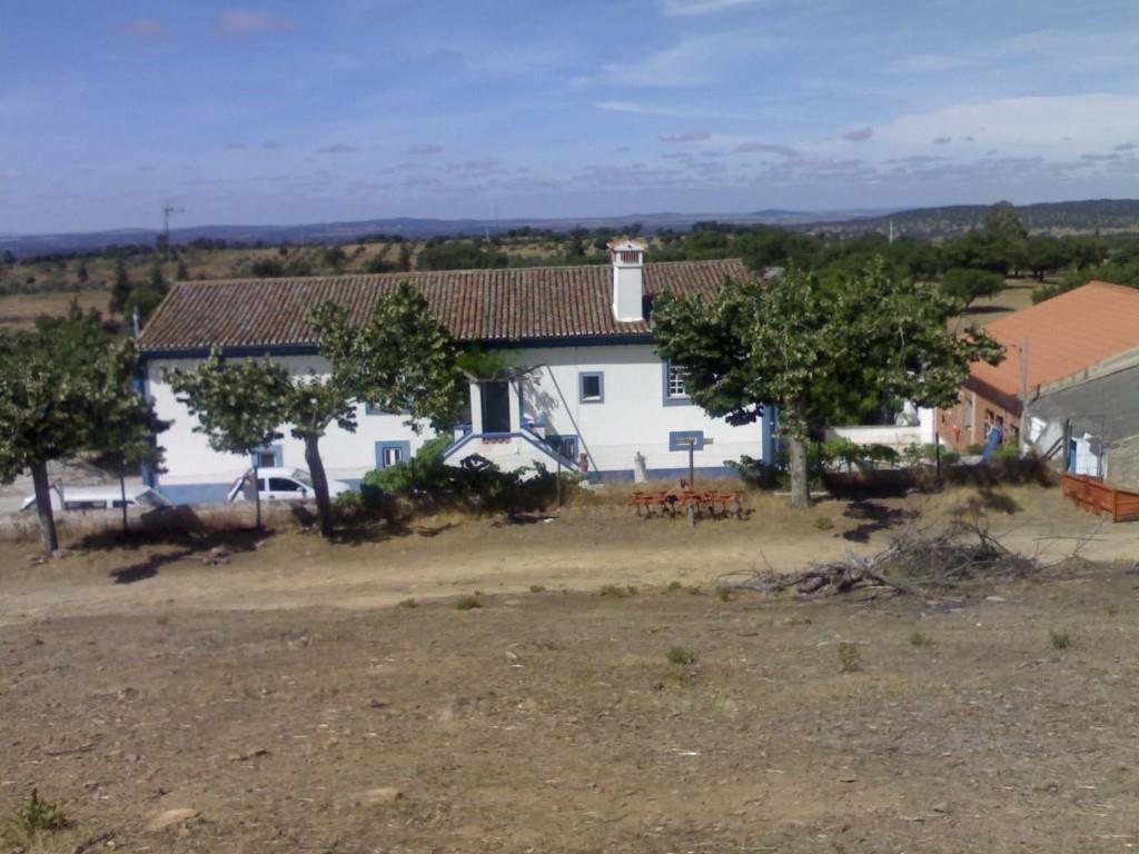 Aankoop: Huis (7300)