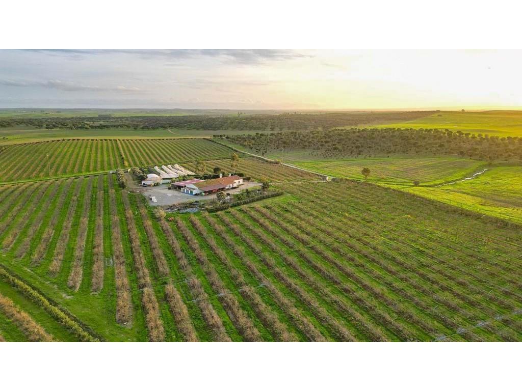 Landed estate for agriculture or rural tourism close to Aljustrel, Alentejo