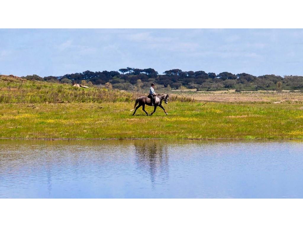 Equestrian centre with 3 bed country house and lake view near Ourique