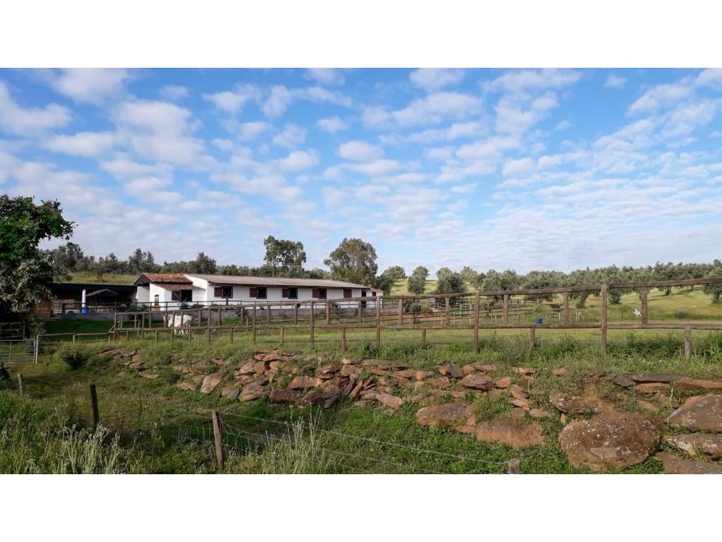 Equestrian centre with 3 bed country house and lake view near Ourique
