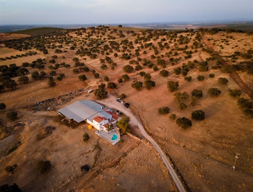 A property of almost 60 hectares with a Watchtower