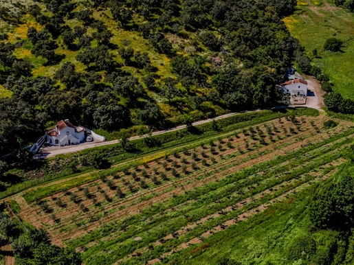 In Vila Viçosa een toeristische boerderij van 23ha