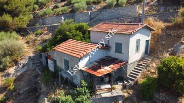 Rustic for sale in Bordighera with sea view.
