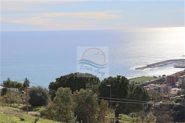 Land for Sale in Bordighera, Montenero area, with a beautiful sea view.