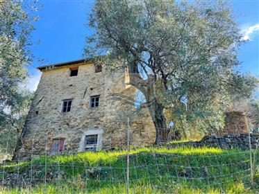 Landhaus mit Meerblick zum Verkauf im Weiler Sasso Bordighera.